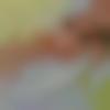 woman seeking men Dumka near me photo - Humera
