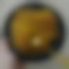 woman seeking men Dhubri near me photo - Kueeeeeeen
