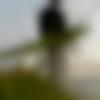 Scorpio Dating Male Photo - Rayan