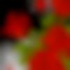 woman seeking men Nagaur near me photo - Rohini
