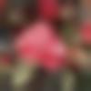 woman seeking men Chakradharpur near me photo - Shadhna