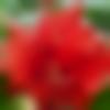 woman seeking men Bodhgaya near me photo - Mina