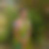 woman seeking men Krishnagiri near me photo - Ammu