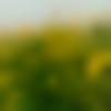 woman seeking men Bilasipara near me photo - Priya