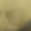 Single Male - Rudra
