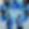 Single Male - Rohit