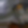 Single Male - Vinay8639dc