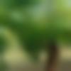 Single Female - Kashish