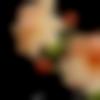 Single Female - Sharda