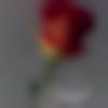 woman seeking men Dhoraji near me photo - Mona