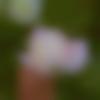 woman seeking men Munger near me photo - Pallavi