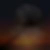 woman seeking men Udaipur near me photo - Mayuri