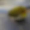 woman seeking men Kapadvanj near me photo - Mou
