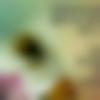 woman seeking men Kanyakumari near me photo - Ananya