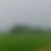 woman seeking men Pondicherry photo - Tamil