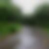 woman seeking men Badnagar near me photo - Poojasingh
