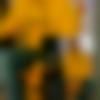 Male Photo - Aman