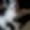 Male Photo - Veera