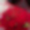 Angika Ladies, Woman Seeking Men Photo - Vidushi