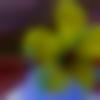 woman seeking men Egra near me photo - Mani
