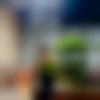 Uttarakhand single Female - Sneha