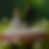 woman seeking men Vidisha near me photo - Sana