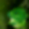 woman seeking men Channapatna near me photo - Amrita