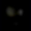 woman seeking men Bhandara near me photo - Vss