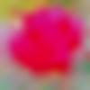 woman seeking men Sanchore near me photo - ???