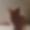 Single Female - Pathar