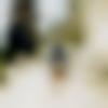 Male Photo - Shubham