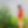 Jasdan Male, photo - Nirmal