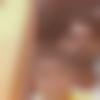 Sedam Male Photo - Syed