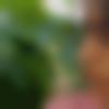 Female Photo - Ekam