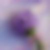 Tamil Dating Female - Jot