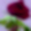 woman seeking men Vikarabad near me photo - Barsha