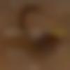 woman seeking men Hodal near me photo - Riya
