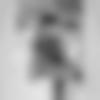 Male Photo - Thoman