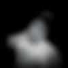 Suri Male Photo - Rohit