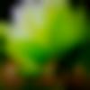 Sivakasi Male Photo - Kamlesh