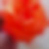woman seeking men Pune near me photo - Veda
