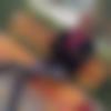 Single Male - Ashishsharma