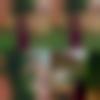 Kerala single Female - Litty