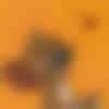 woman seeking men Ujhani near me photo - Payal