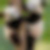 woman seeking men Katol near me photo - Geeta