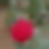 woman seeking men Raiganj near me photo - Swapna