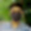 Dumraon Male Photo - Sameer