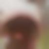 Male Photo - Md