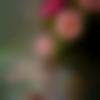 woman seeking men Lalru near me photo - Rani