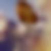 woman seeking men Panskura near me photo - Honey